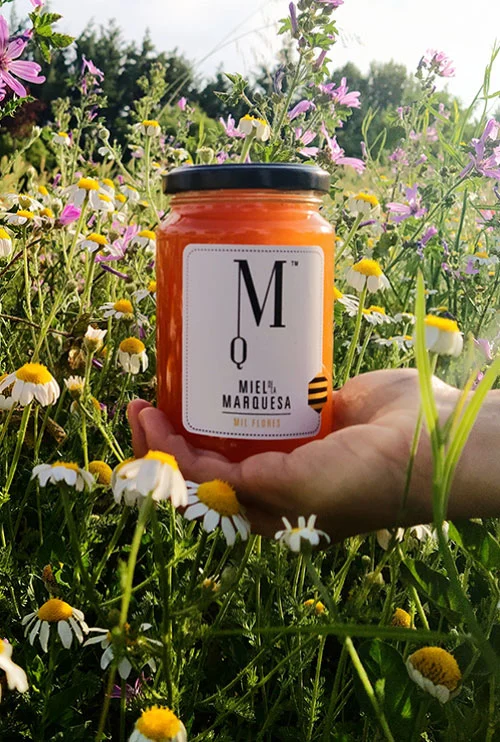 Miel de la Alcarria. Caracenilla. Cuenca. Campo de flores con Miel de la Marquesa.