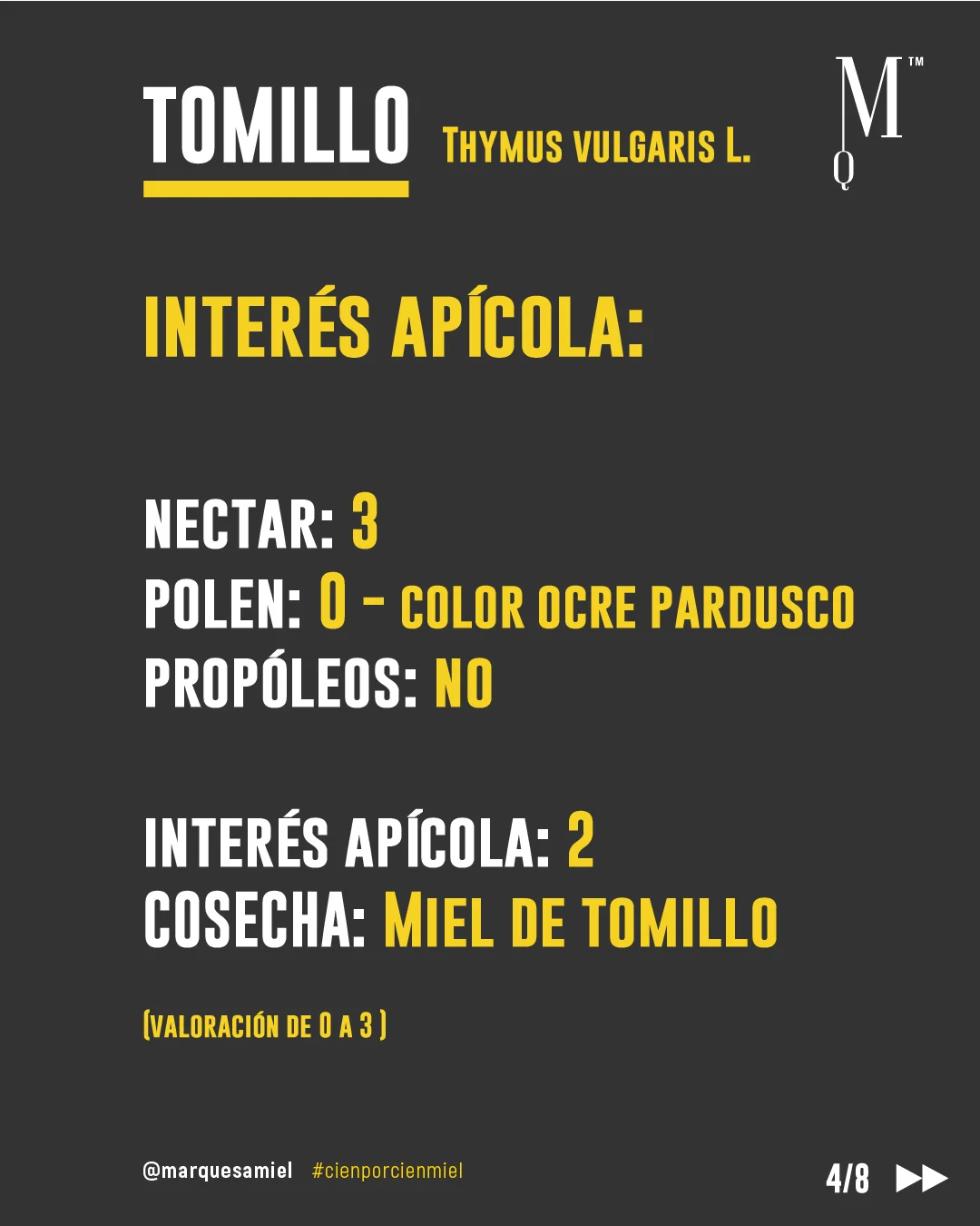 Planta y Miel de Tomillo