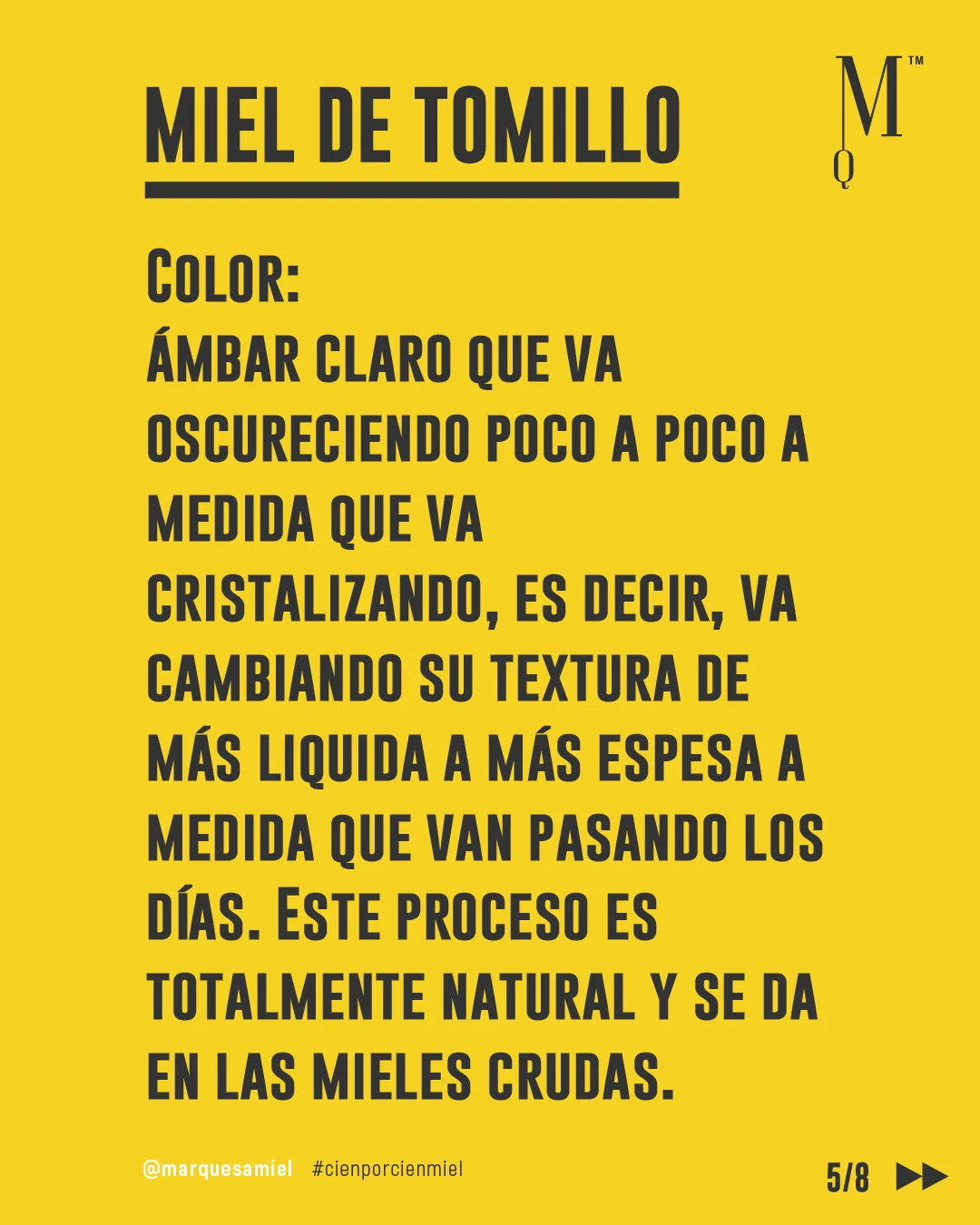 Planta y Miel de Tomillo