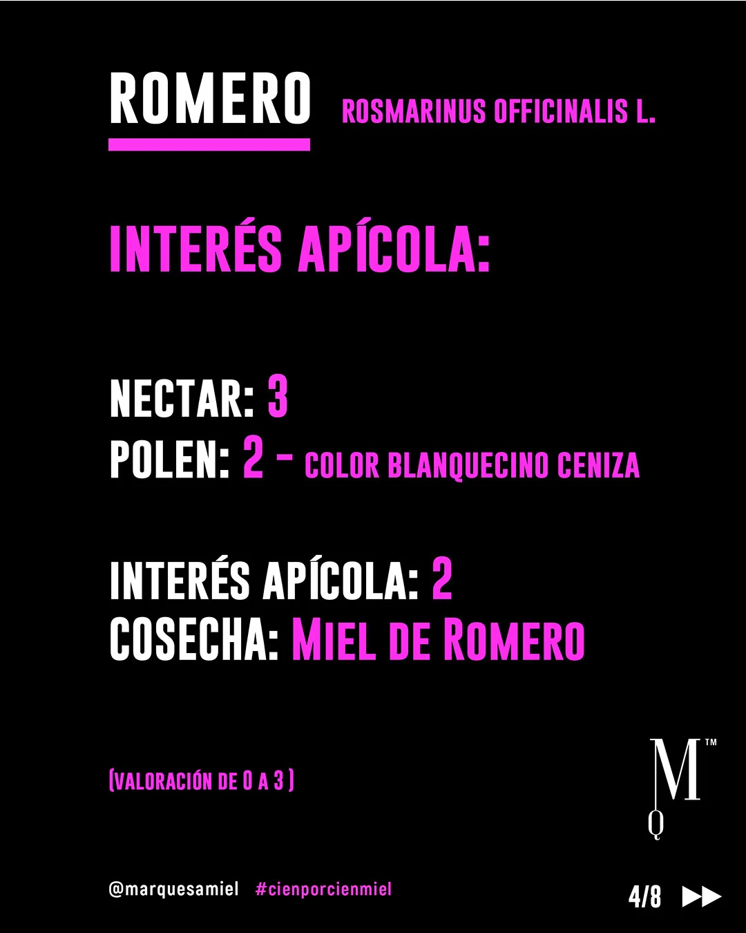 Romero. Guía de mieles y plantas melíferas