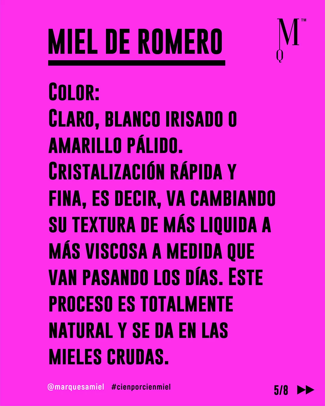 Romero. Guía de mieles y plantas melíferas