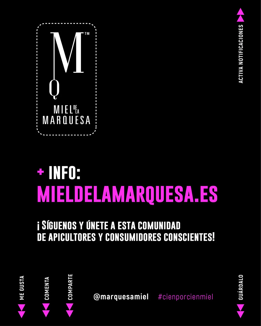 Romero. Guía de mieles y plantas melíferas