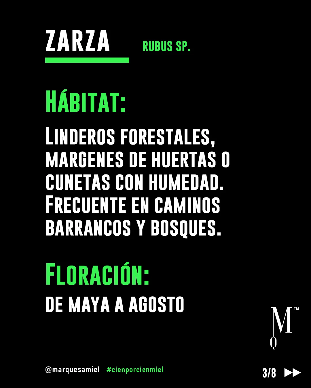Zarza. Guía de mieles y plantas melíferas