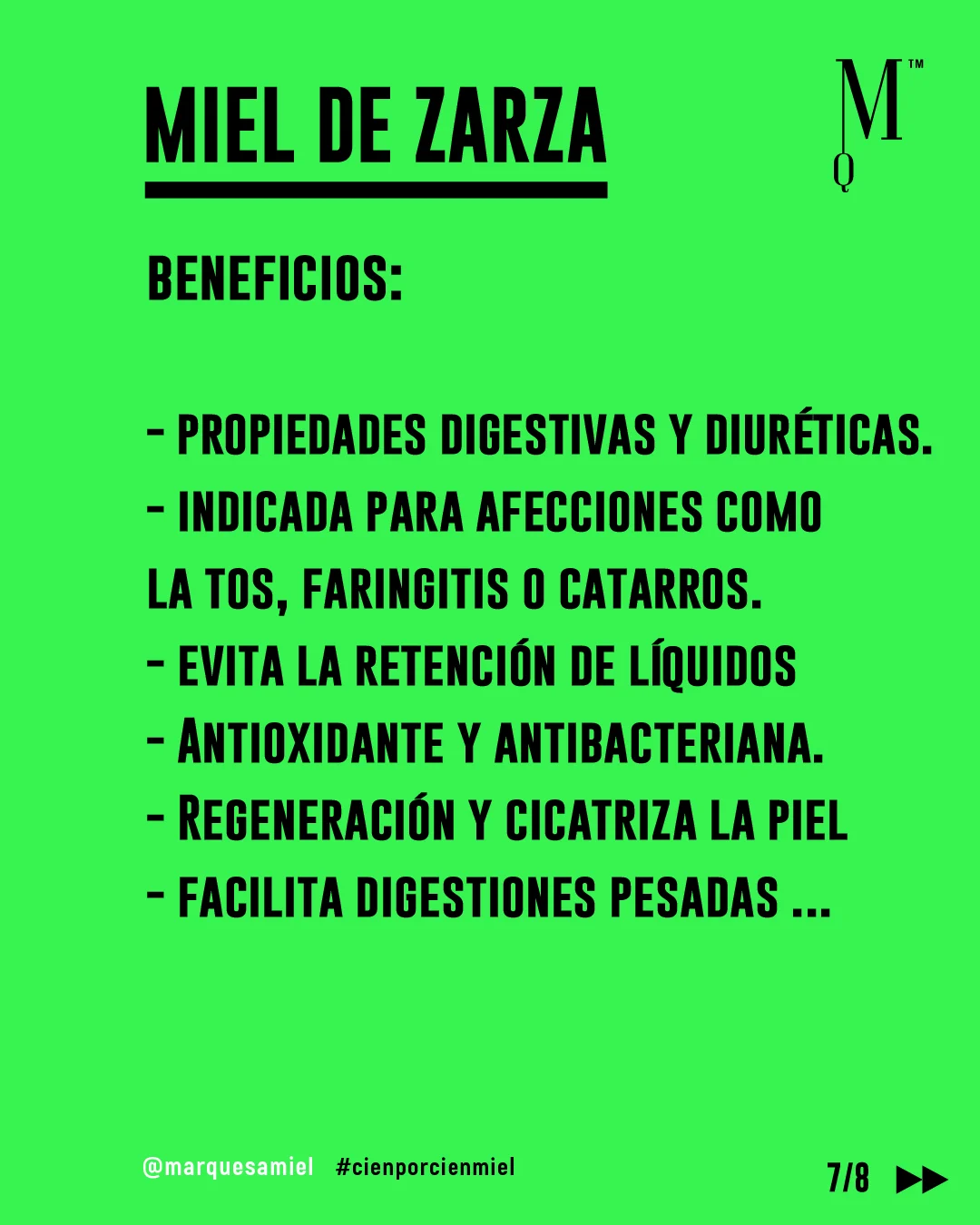 Zarza. Guía de mieles y plantas melíferas