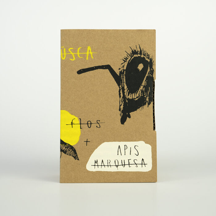 Caja del artista Mateo Andrea, proyecto Creative Honey